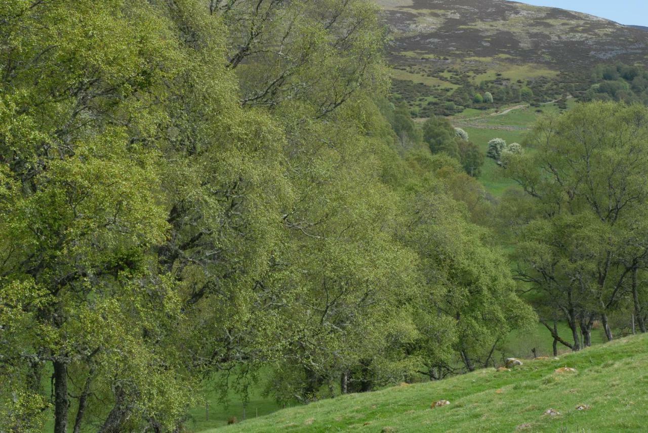 Howe Of Torbeg Ballater Kültér fotó